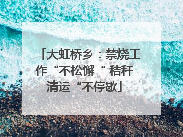 大虹桥乡：禁烧工作“不松懈“ 秸秆清运“不停歇