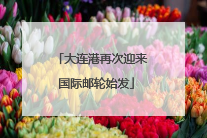 大连港再次迎来国际邮轮始发