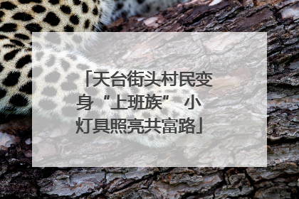 天台街头村民变身“上班族” 小灯具照亮共富路