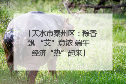 天水市秦州区：粽香飘 “艾”意浓 端午经济“热”起来