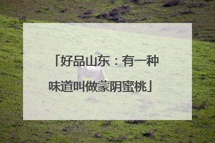 好品山东：有一种味道叫做蒙阴蜜桃