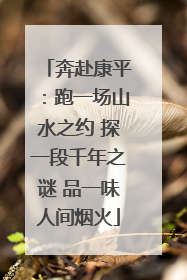 奔赴康平：跑一场山水之约 探一段千年之谜 品一味人间烟火