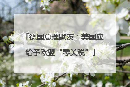 德国总理默茨：美国应给予欧盟“零关税”