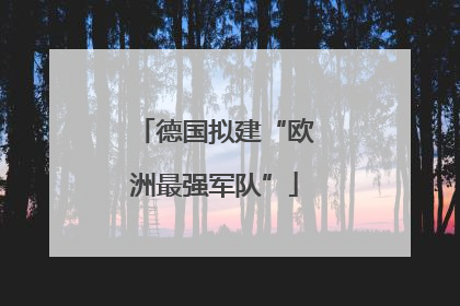 德国拟建“欧洲最强军队”