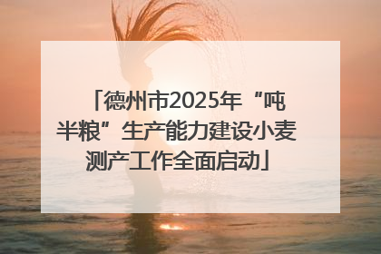 德州市2025年“吨半粮”生产能力建设小麦测产工作全面启动