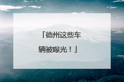 德州这些车辆被曝光！