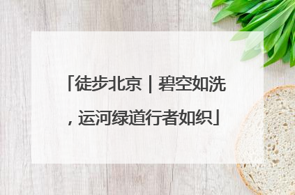 徒步北京｜碧空如洗，运河绿道行者如织