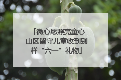 微心愿照亮童心 山区留守儿童收到别样“六一”礼物