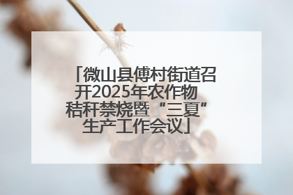 微山县傅村街道召开2025年农作物秸秆禁烧暨“三夏”生产工作会议