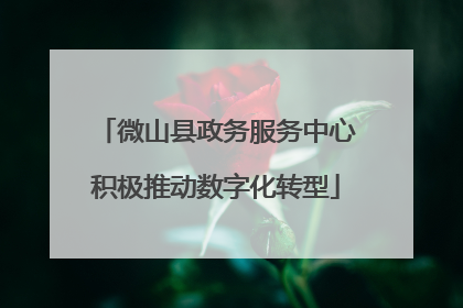 微山县政务服务中心积极推动数字化转型