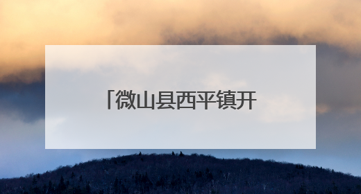 微山县西平镇开展医保政策宣传