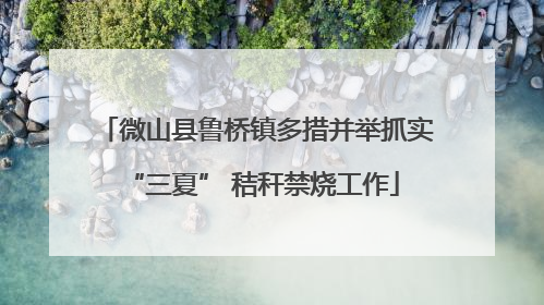 微山县鲁桥镇多措并举抓实 “三夏” 秸秆禁烧工作
