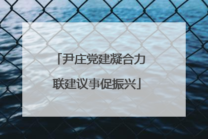 尹庄党建凝合力 联建议事促振兴