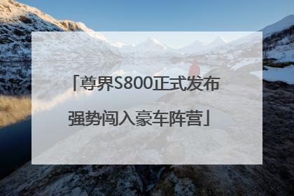 尊界S800正式发布 强势闯入豪车阵营