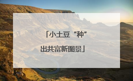 小土豆“种”出共富新图景
