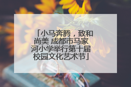小马奔腾，致和尚美 成都市马家河小学举行第十届校园文化艺术节