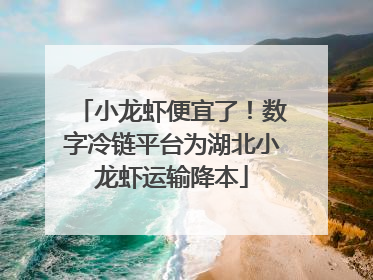 小龙虾便宜了！数字冷链平台为湖北小龙虾运输降本
