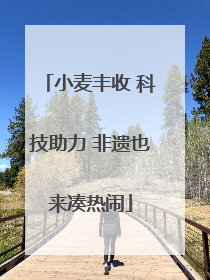 小麦丰收 科技助力 非遗也来凑热闹