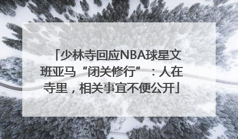 少林寺回应NBA球星文班亚马“闭关修行”：人在寺里，相关事宜不便公开