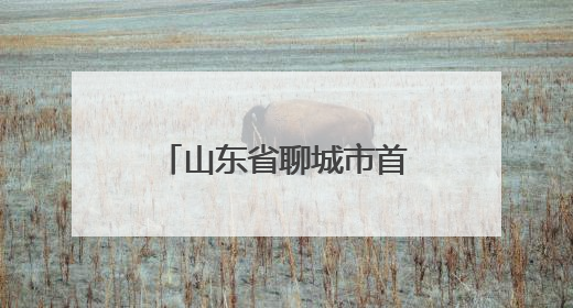 山东省聊城市首届0-3岁婴幼儿运动会圆满落幕