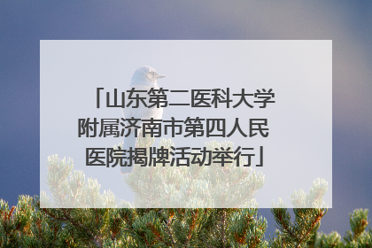 山东第二医科大学附属济南市第四人民医院揭牌活动举行