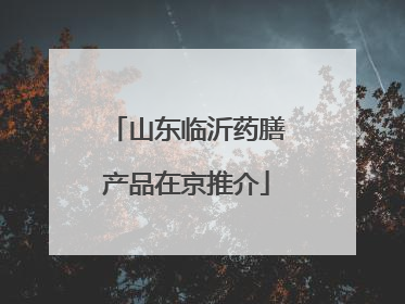 山东临沂药膳产品在京推介