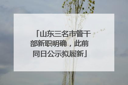 山东三名市管干部新职明确，此前同日公示拟履新