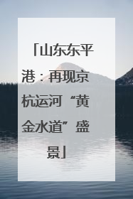 山东东平港：再现京杭运河“黄金水道”盛景