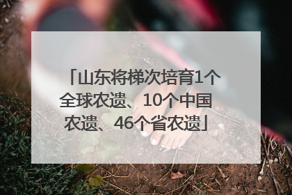 山东将梯次培育1个全球农遗、10个中国农遗、46个省农遗