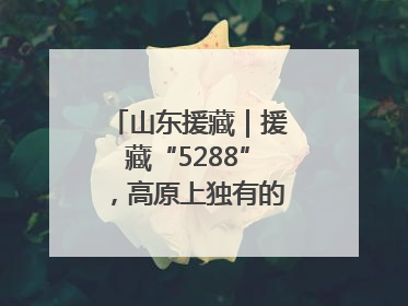 山东援藏｜援藏“5288”，高原上独有的“烟台浪漫”