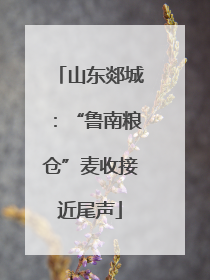 山东郯城：“鲁南粮仓”麦收接近尾声