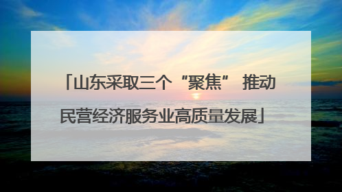 山东采取三个“聚焦” 推动民营经济服务业高质量发展