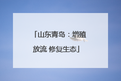山东青岛：增殖放流 修复生态