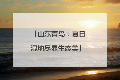 山东青岛：夏日湿地尽显生态美