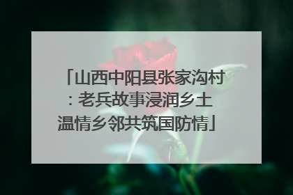 山西中阳县张家沟村：老兵故事浸润乡土 温情乡邻共筑国防情