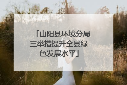 山阳县环境分局三举措提升全县绿色发展水平