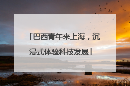巴西青年来上海，沉浸式体验科技发展