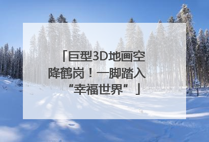 巨型3D地画空降鹤岗！一脚踏入“幸福世界”