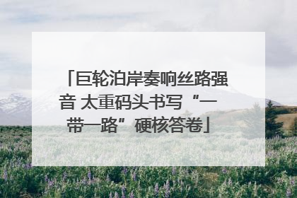 巨轮泊岸奏响丝路强音 太重码头书写“一带一路”硬核答卷