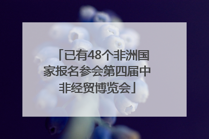 已有48个非洲国家报名参会第四届中非经贸博览会
