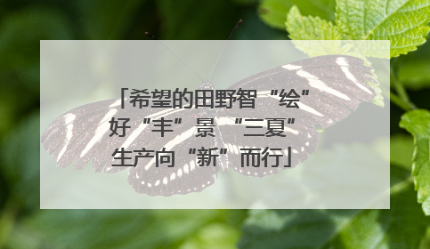 希望的田野智“绘”好“丰”景 “三夏”生产向“新”而行