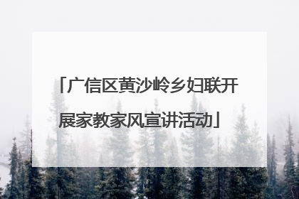 广信区黄沙岭乡妇联开展家教家风宣讲活动
