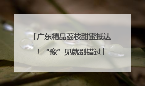 广东精品荔枝甜蜜抵达！“豫”见就别错过