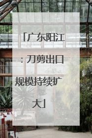 广东阳江：刀剪出口规模持续扩大