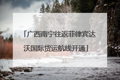 广西南宁往返菲律宾达沃国际货运航线开通
