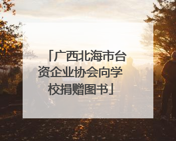 广西北海市台资企业协会向学校捐赠图书