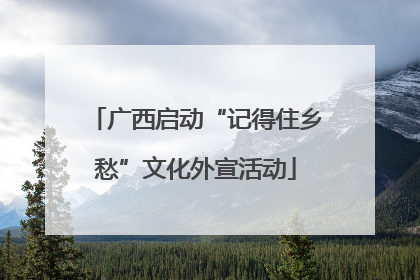 广西启动“记得住乡愁”文化外宣活动