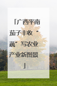 广西平南茄子丰收“蔬”写农业产业新图景