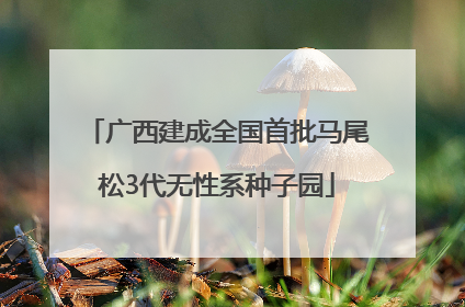 广西建成全国首批马尾松3代无性系种子园