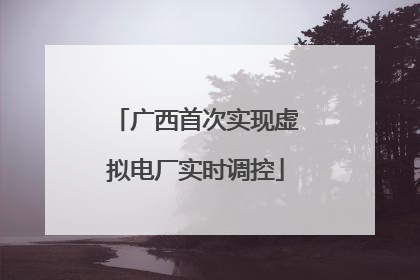 广西首次实现虚拟电厂实时调控